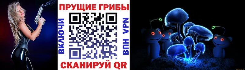 Псилоцибиновые грибы Cubensis Черняховск